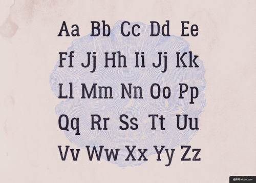 探索字体世界 从设计资源到个性化下载